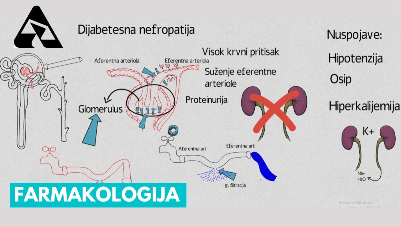 Antihipertenzivi, ACE inhibitori i Blokatori receptora angiotenzina II ( indikacije, nuspojave)
