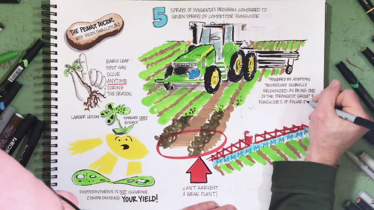 Prevent Leaf Spots in Peanuts with Miravis