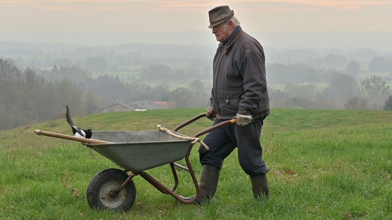 Die Geschichte der Elster Else (die Else-Story), Teil 8