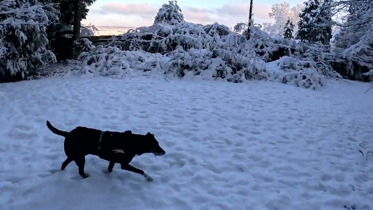 Schneespaziergang Saarbr&uuml;cken gopro hero 11 #Schnee #winter