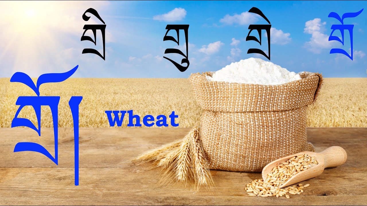 Basic Tibetan Language Grammar Part 5