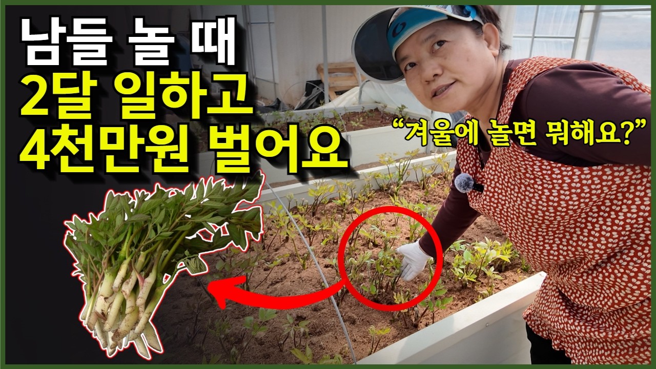 참두릅 맛의 3배! 100평에서 농한기 2달만 재배하는 땅두릅 수익성은?
