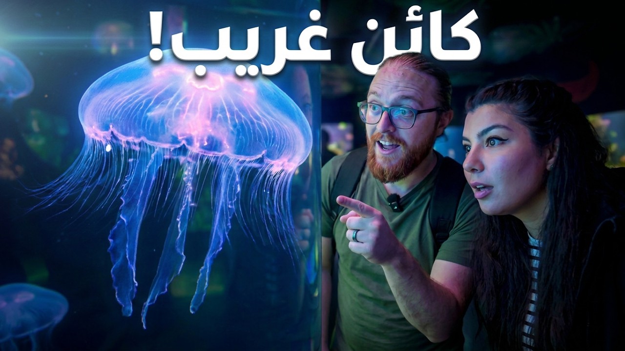 شو في داخل أكواريوم موسكو؟ جولة كاملة