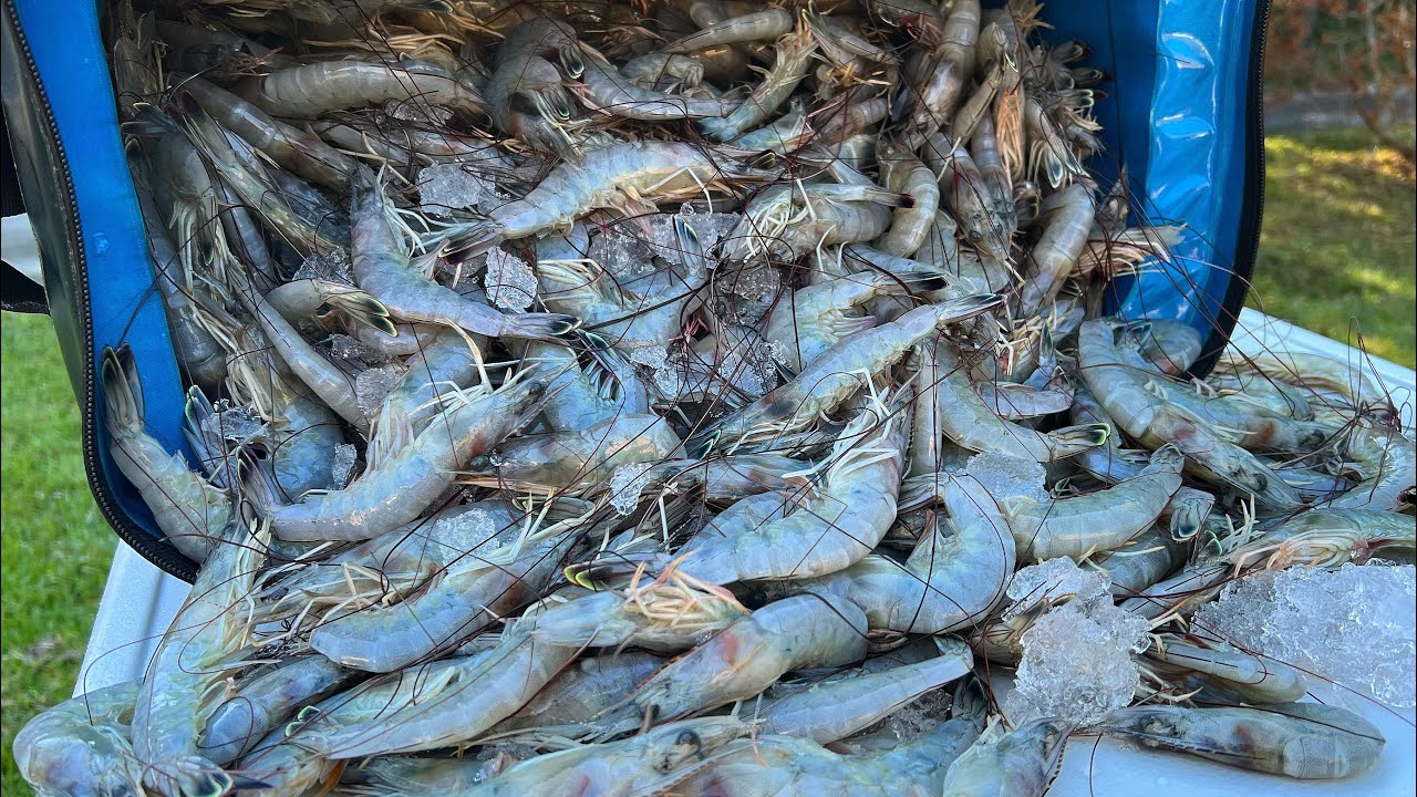 КРЕВЕТКИ ДЛЯ ОЧИСТКИ КРЕВЕТОК - LowCountry Boil (поймать-почистить-приготовить)