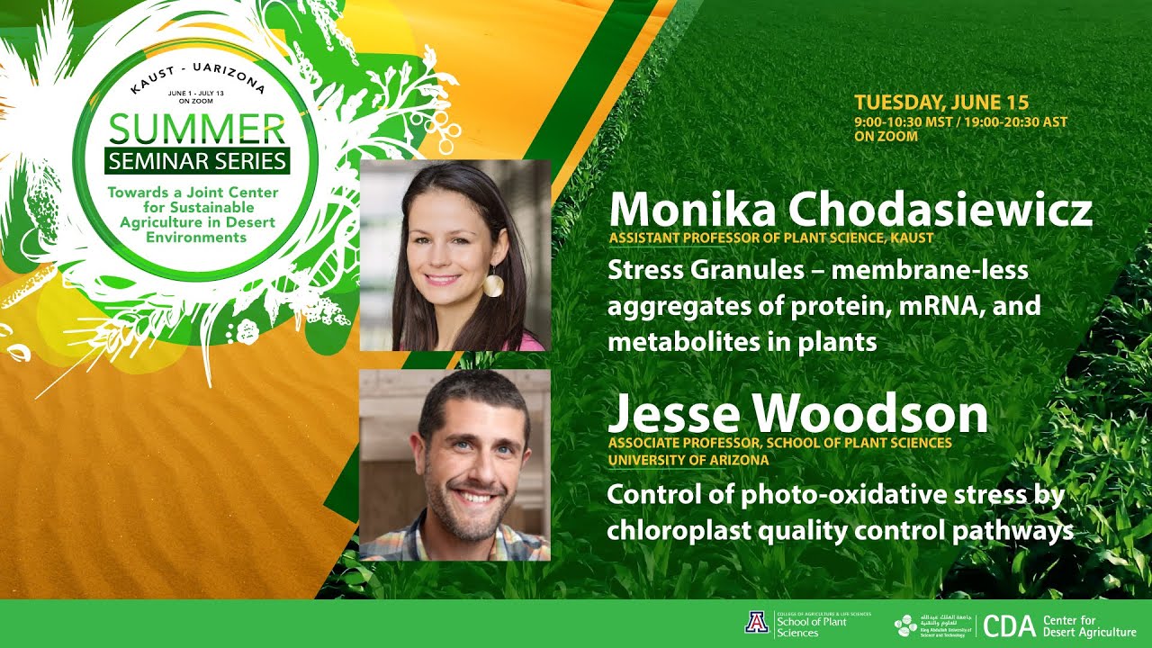 2021 Summer Seminar Series: Monika Chodasiewicz & Jesse Woodson