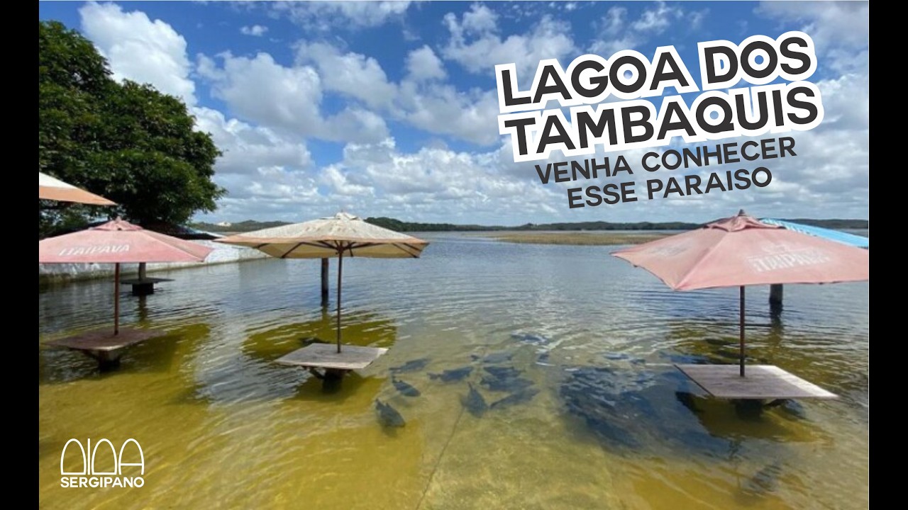 Lagoa dos Tambaquis - Um paraíso tropical na cidade de Estância-SE