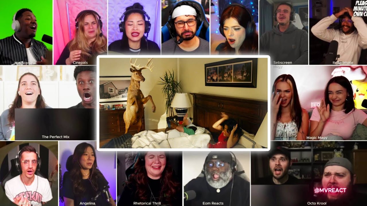 Grown Ups 2 Deer in the House Reaction Mashup
