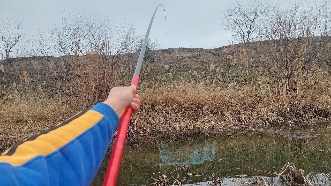Canal sălbatic plin de peste