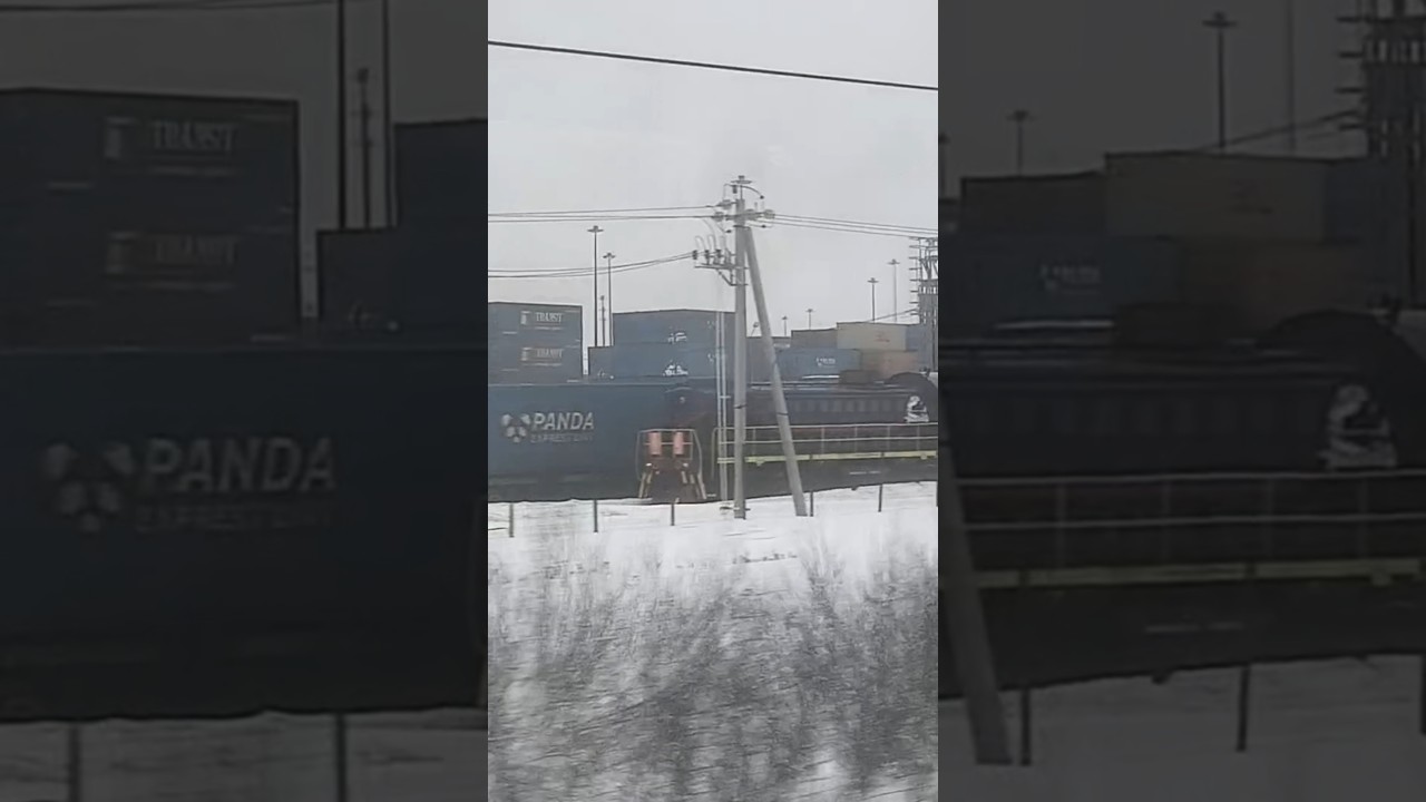 ЧМЭ3-1690 и ТЭМ7А-0346(Перегонка), ТЭМ2М-5511, ТЭМ2-1125, ТЭМ2-1230, ТЭМ2-8574 в Электроуглях