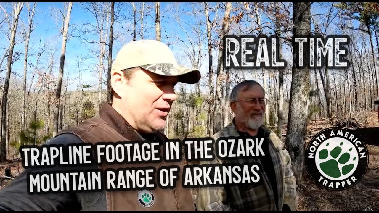 REAL-TIME Trapline Footage in the OZARK Mountain Range of Arkansas