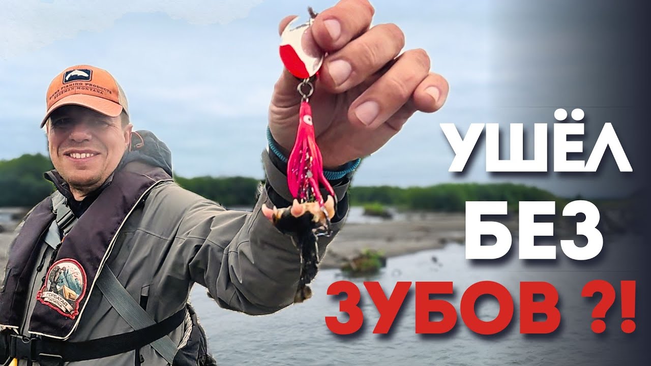 Кижуч, медведи и Камчатка.