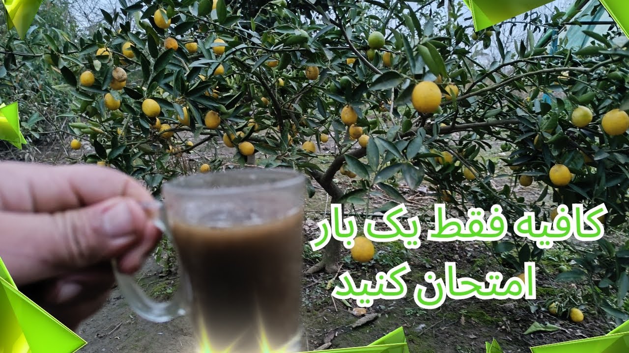 بهترین کود برای درختان میوه و سبزیجات /کود ارگانیک و دارای عناصر کامل و تاثیر طولانی مدت بر افزایش