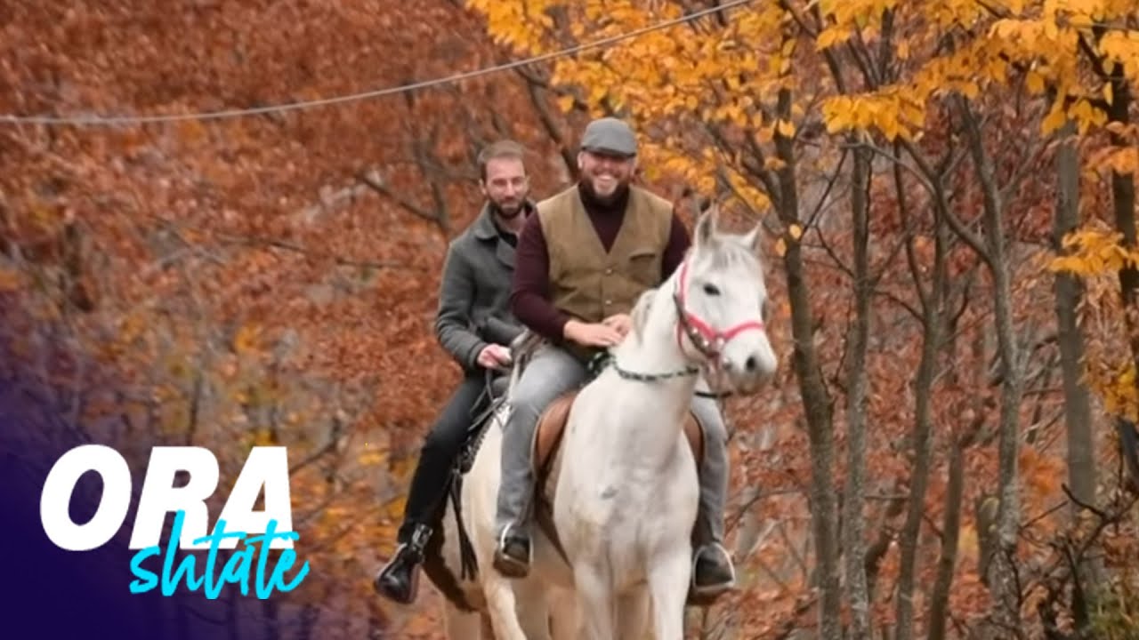 Ora 7 - Kashagitja dhe kujdesi ndaj kuajve