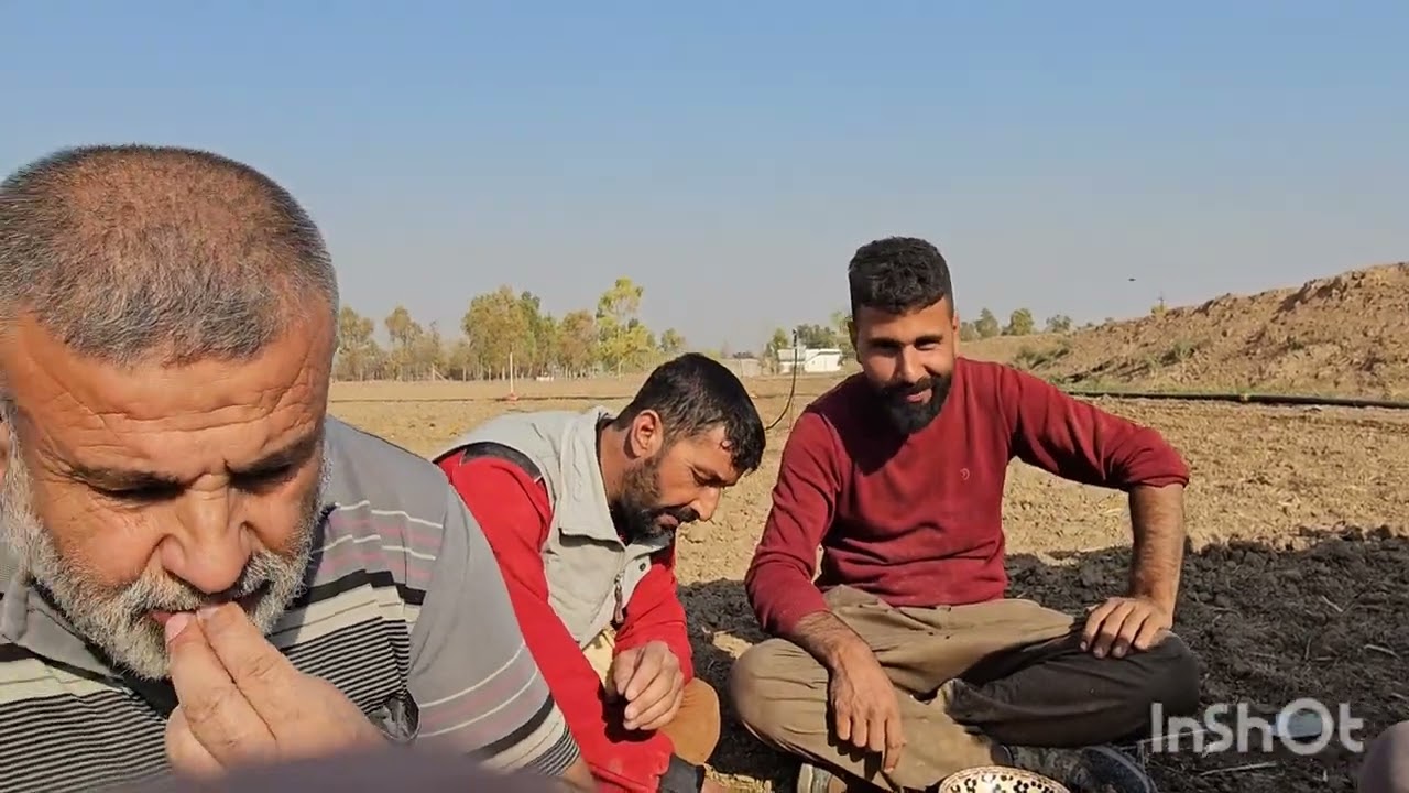 حرث ارض المزرعه وبذار الحنطه وتنظيف مكان الحلال و اكل وجبه غداء مع الاخوه وراعي الحيوانات 