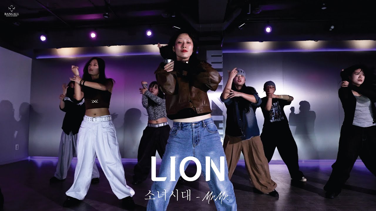 LION ( 소녀시대 - Mr.Mr. ) Hiphop