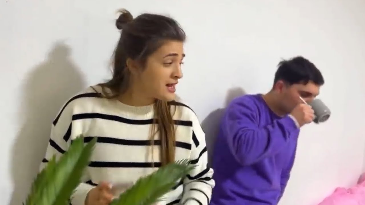 TIPURI de VECINI la ȚARA
