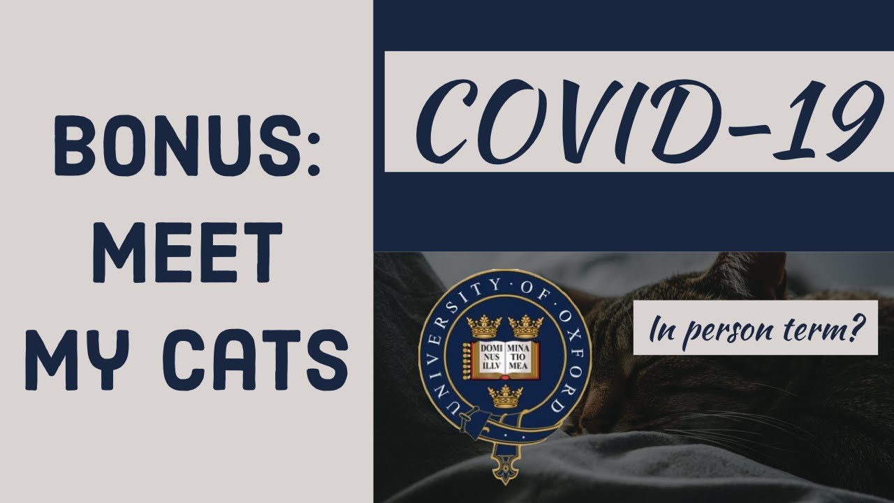 Fall term with COVID-19? + bonus footage of my cats! II OXVLOG