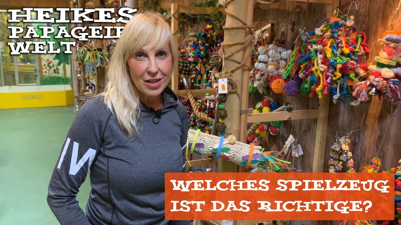Welches Papageienspielzeug ist das Richtige...?