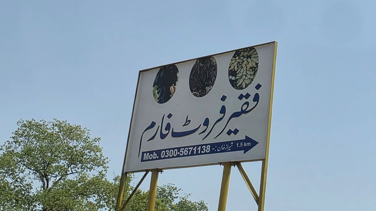 Visit to Faqir Fruit Farms - 430 Amazing Varieties of Grapes.