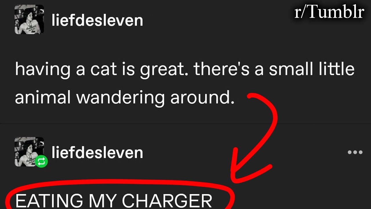 the best of r/tumblr