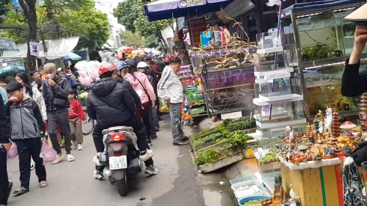 Ornamental animal and fish market in Northern Vietnam