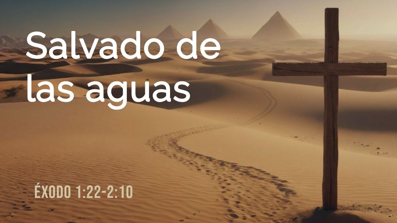 Éxodo 1:22-2:10, Salvado de las aguas