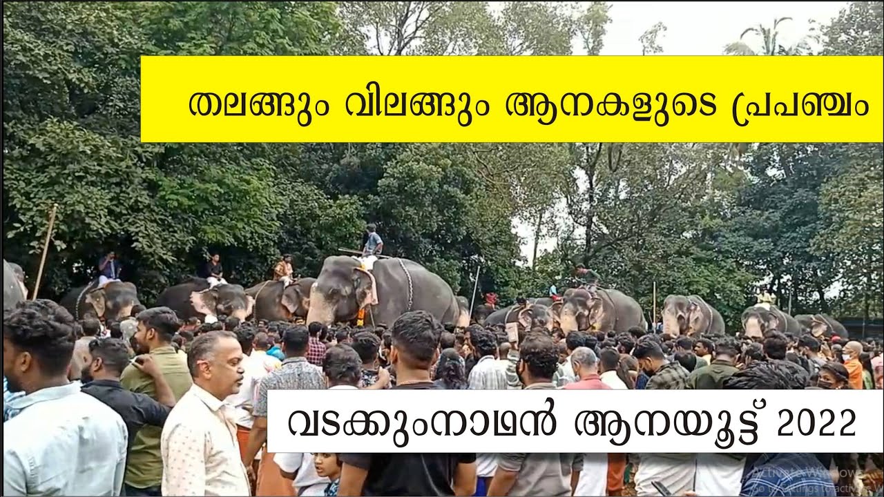 Vadakkumnathan temple anayoottu 2022, Vadakkumnathan Temple, Thrissur Karkkidakam 1, #Anayoottu2022
