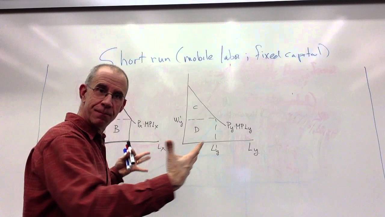 labor market equilibrium (with sector-specific capital)