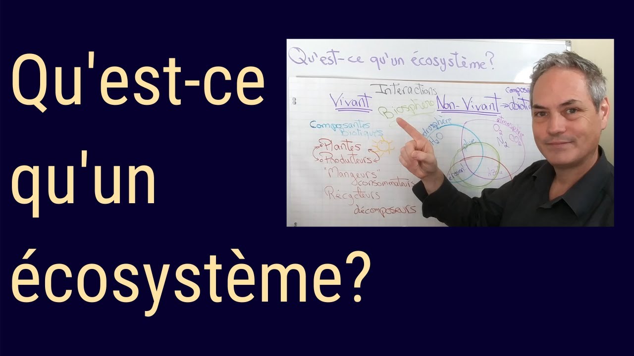 Qu'est ce qu'un écosystème? Ses composantes biotiques et abiotiques