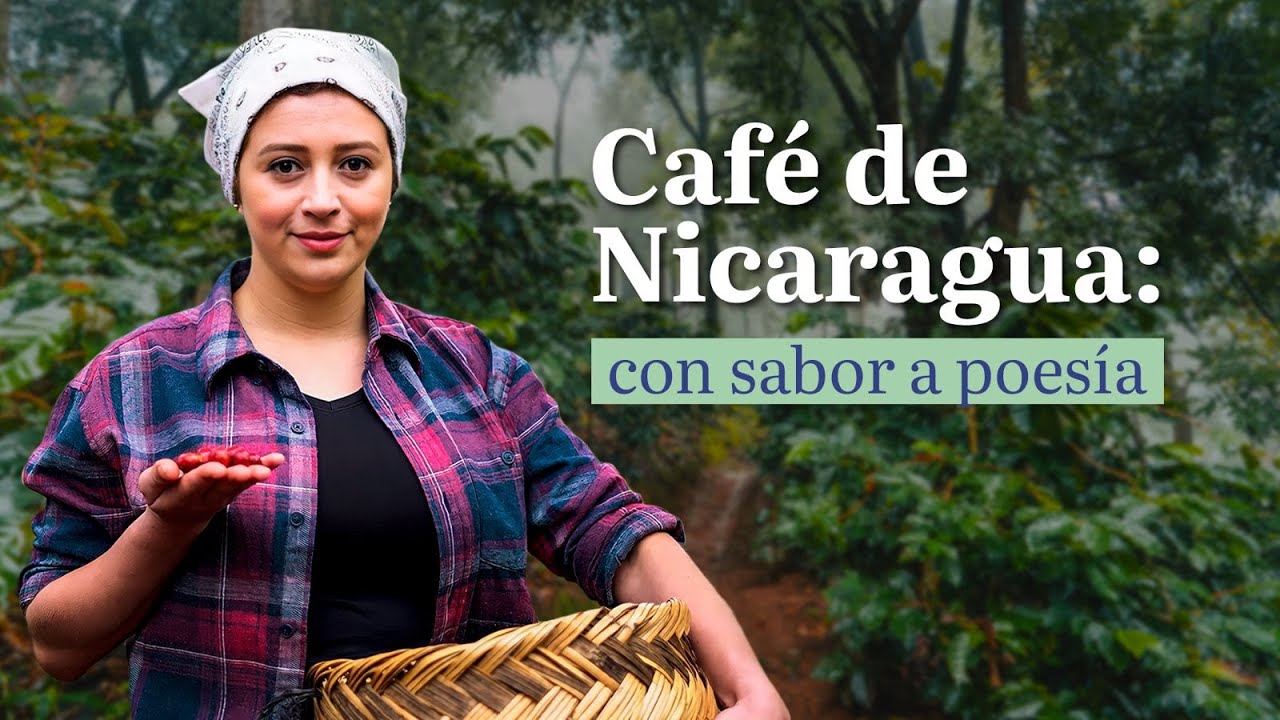 El café de Nicaragua, entre los mejores del mundo