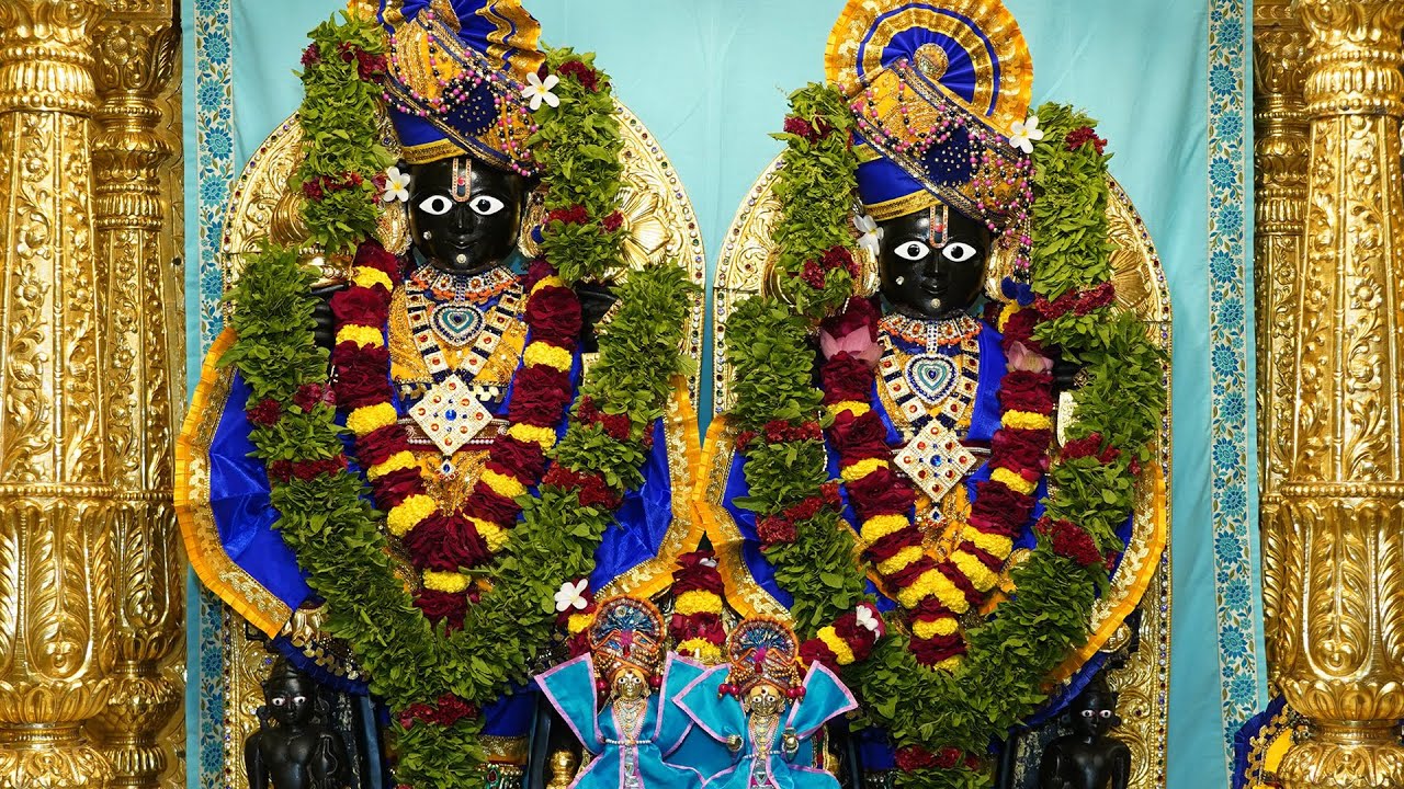 વચનામૃત જયંતિ - આજના દિવ્ય શણગારના દર્શન | છ ધામના દેવોના | તા:- ૨૪ /- ૧૧ /- ૨૦૨૫ | Daily Darshan