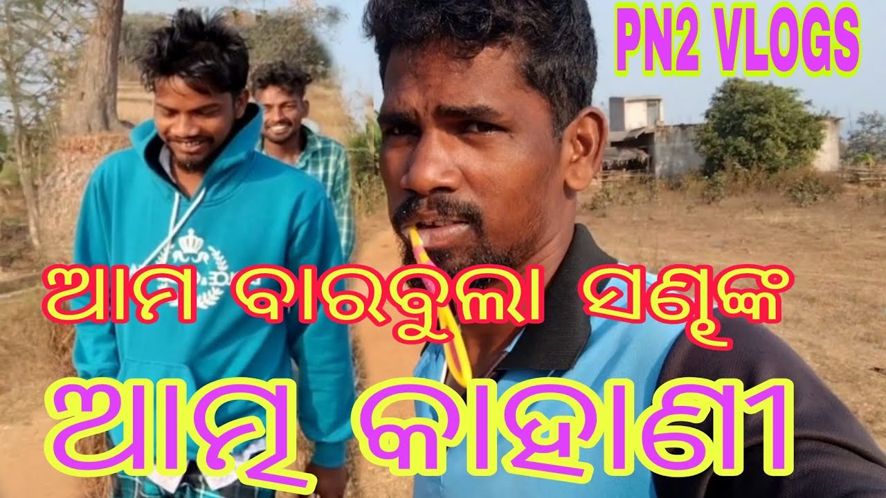 ଆମ ବାରବୁଲା ସଣ୍ଢଙ୍କ ଆତ୍ମ କାହାଣୀ।।PN2 VLOGS @@Odia Video@@Odia Vlogs@@Village Vlogs##Village Boy Pintu