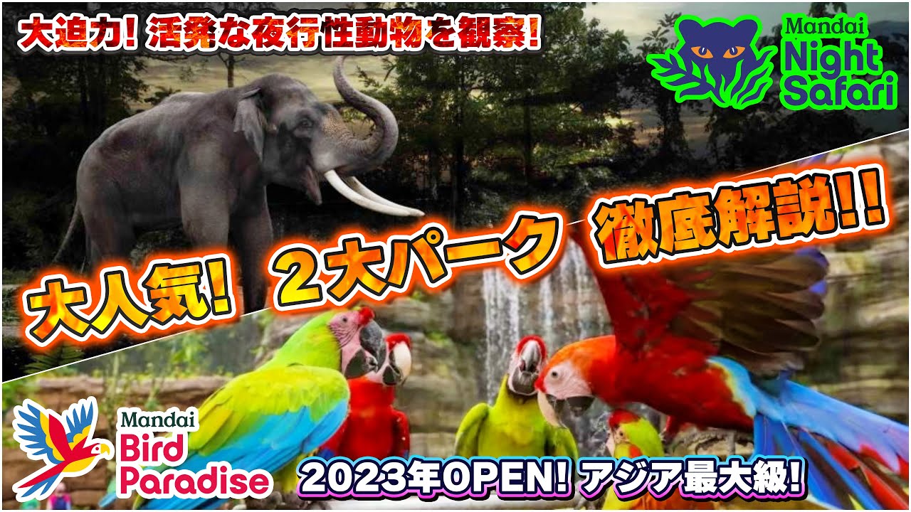 【シンガポール動物園超え!?】バードパラダイス＋ナイトサファリ　徹底紹介