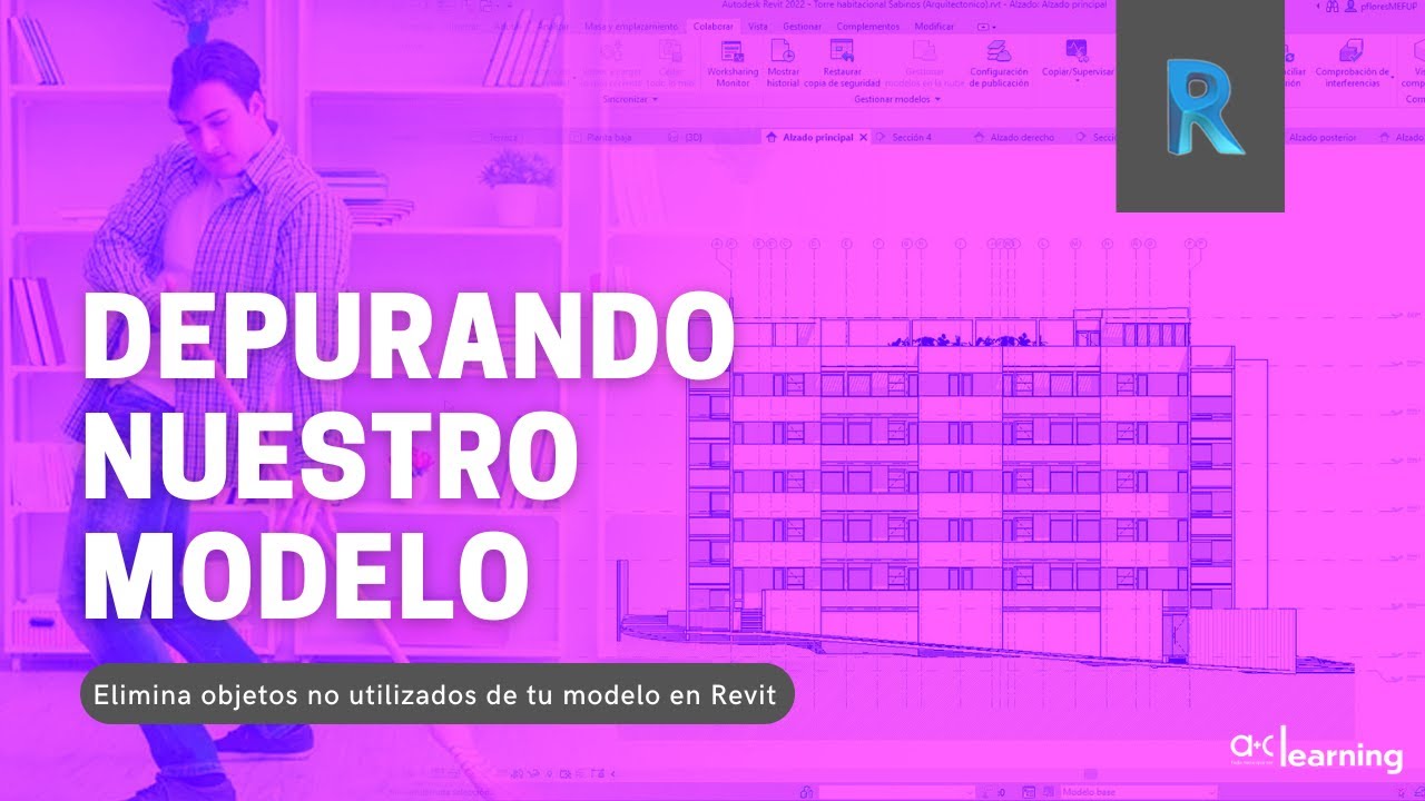 Depurando nuestro modelo en Revit de objetos no usados.