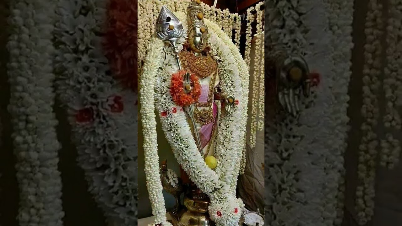 ஓம் முருகா🙏🙏                 