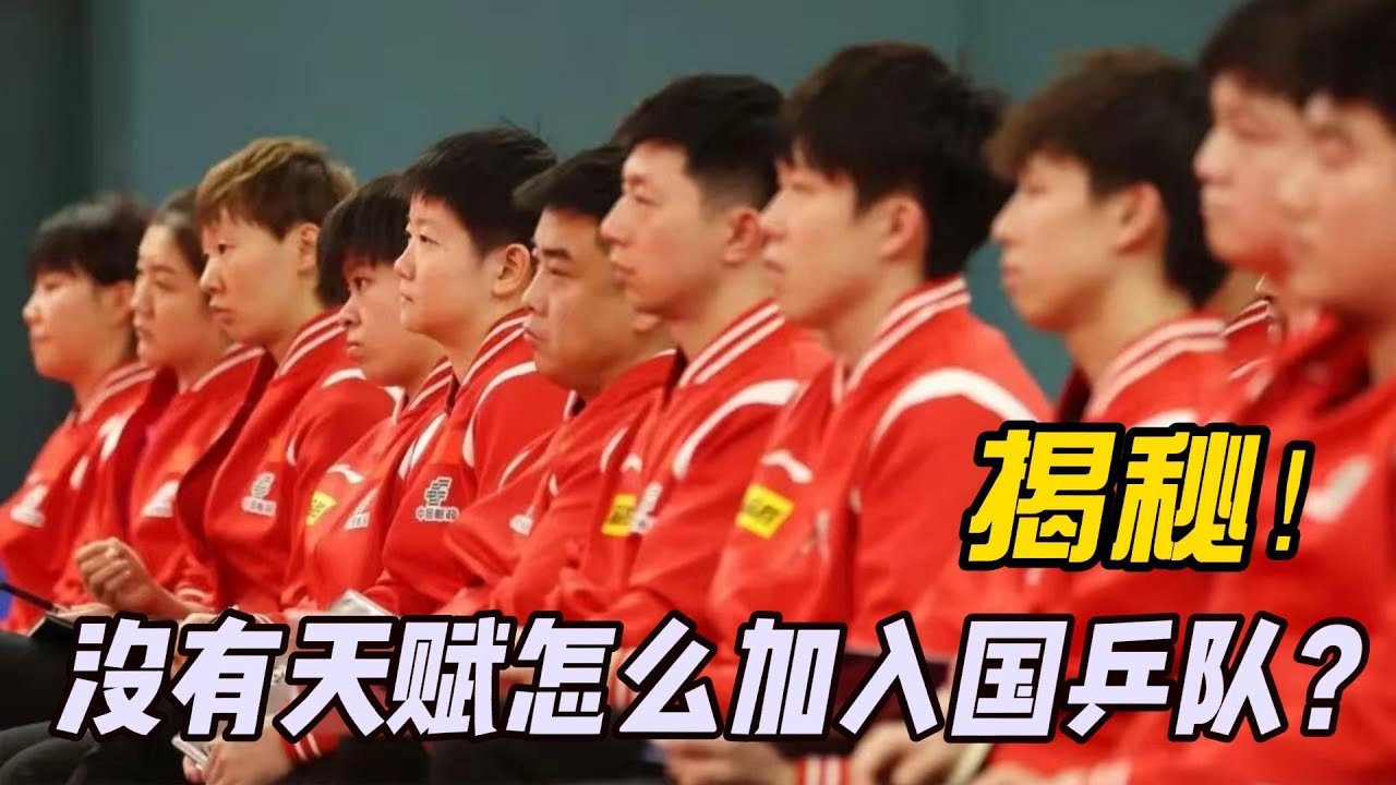 一个没有天赋的人，能进入乒乓球国家队吗？#乒乓球 #马龙 #张继科 #樊振东 #王楚钦 #孙颖莎 #张怡宁 #世界冠军 #体育精神 #奥运会 #国球乒乓