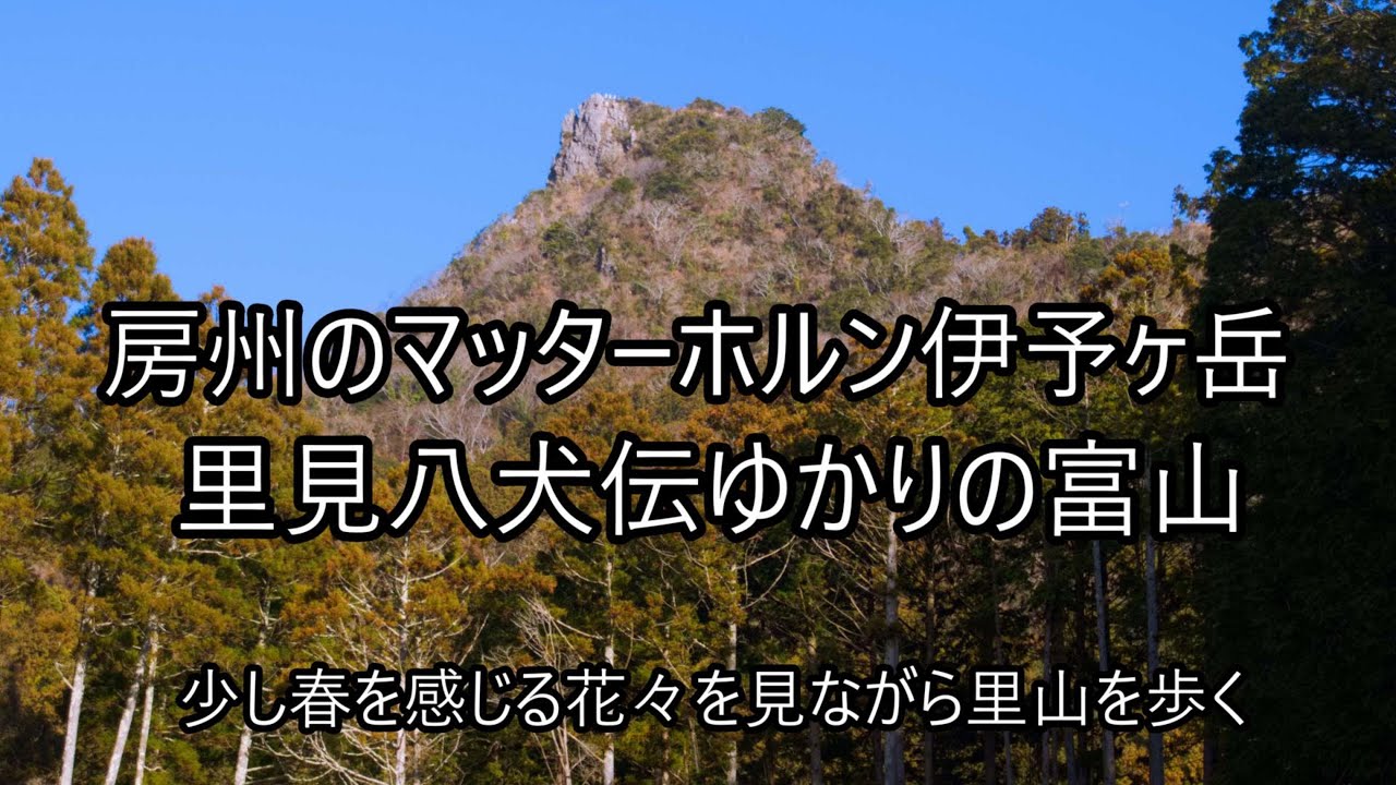 房州のマッターホルン伊予ヶ岳と里見八犬伝ゆかりの富山を歩く