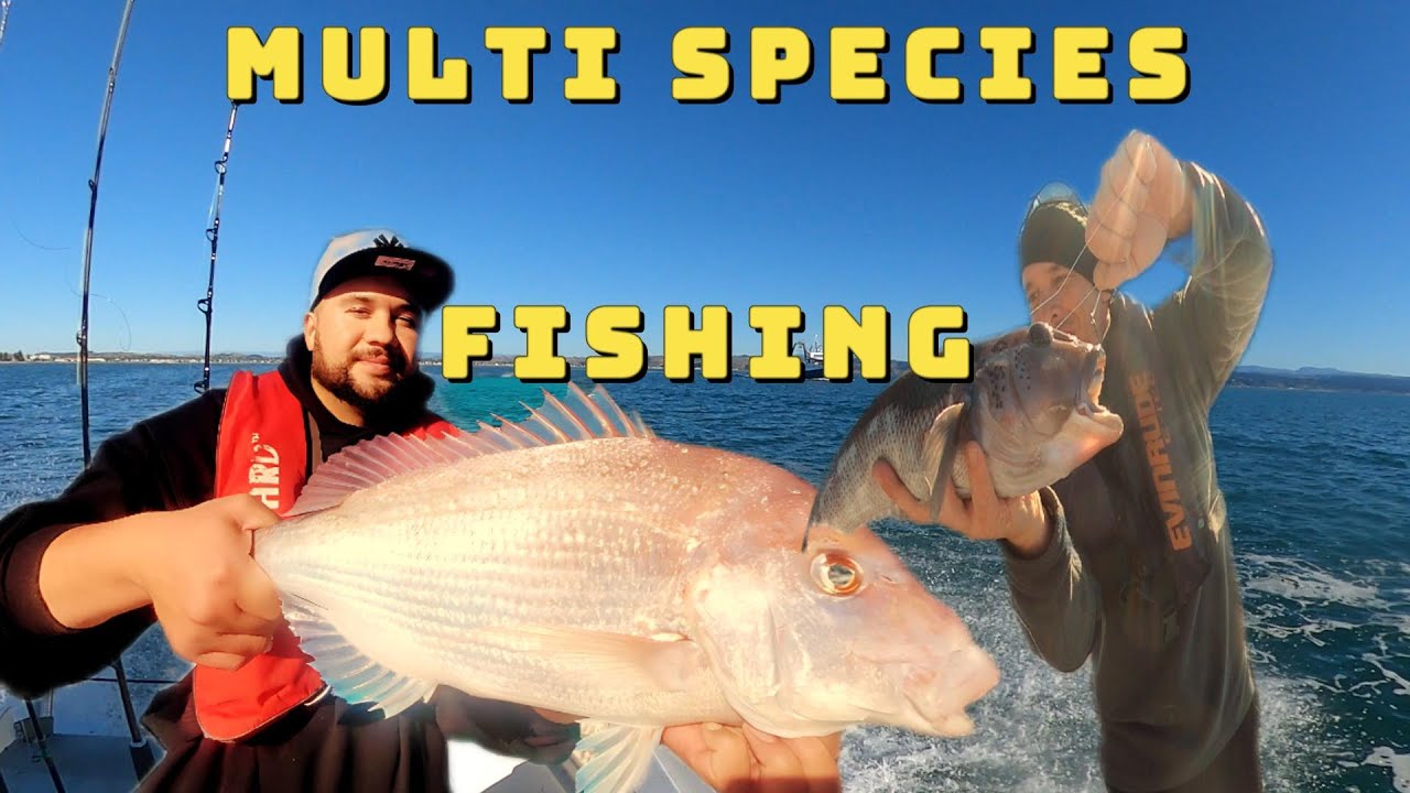 Solid day Fishing in Hawke's Bay, NZ