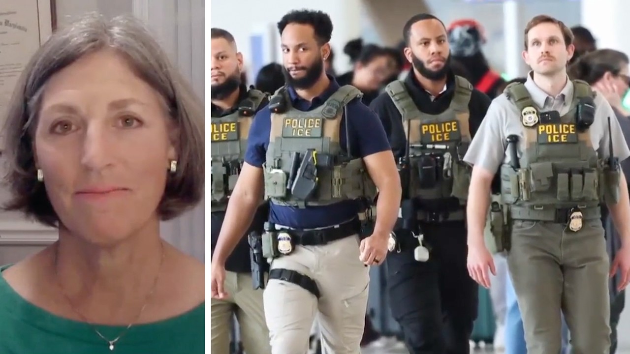 Illegal Aliens Being Arrested by ICE Throw a Fit to Make It Difficult for ICE, Rile up Protestors