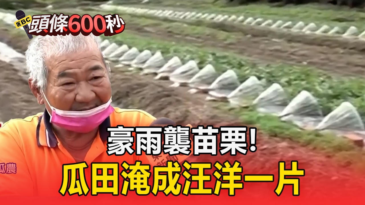 豪雨襲苗栗！瓜田淹成汪洋一片「血本無歸」【頭條600秒】