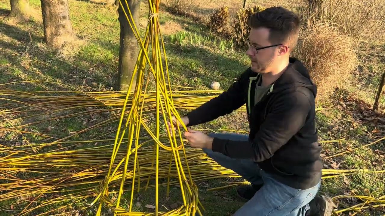 Háromféle támaszték készítése házilag, természetes anyagokból (európai mogyoró és kosárkötő fűz)