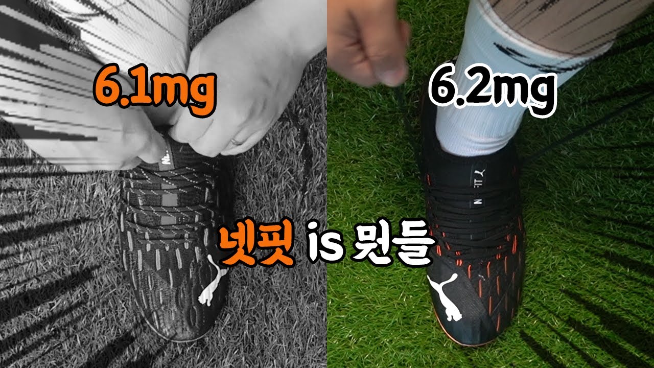 넷핏 6.2mg는 어떨까? 6.1이랑 무슨차이?