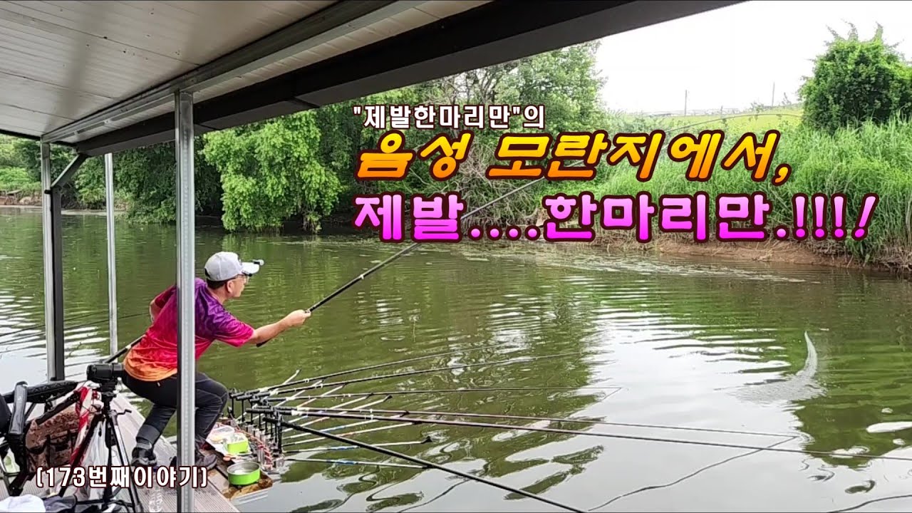 음성 모란지에서, 제발...한마리만.!!![173번째 이야기]