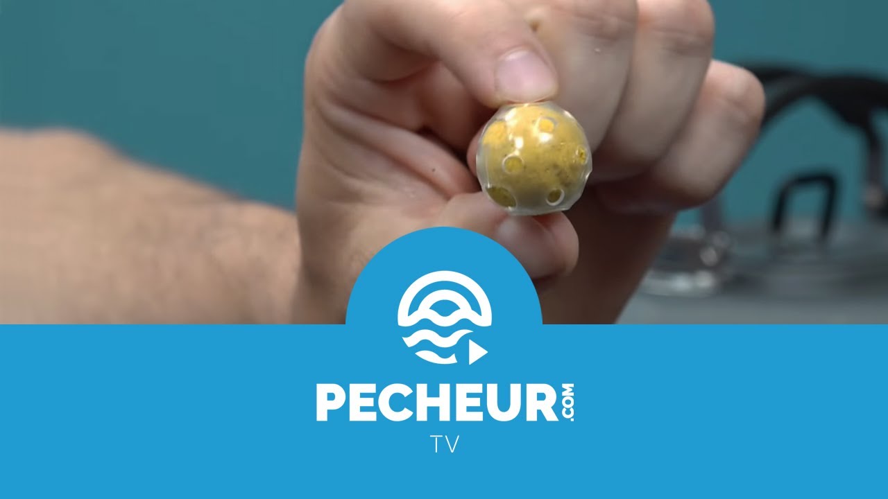 Comment protéger les bouillettes contre les écrevisses et les poissons-chats ? Tutoriel Pecheur.com