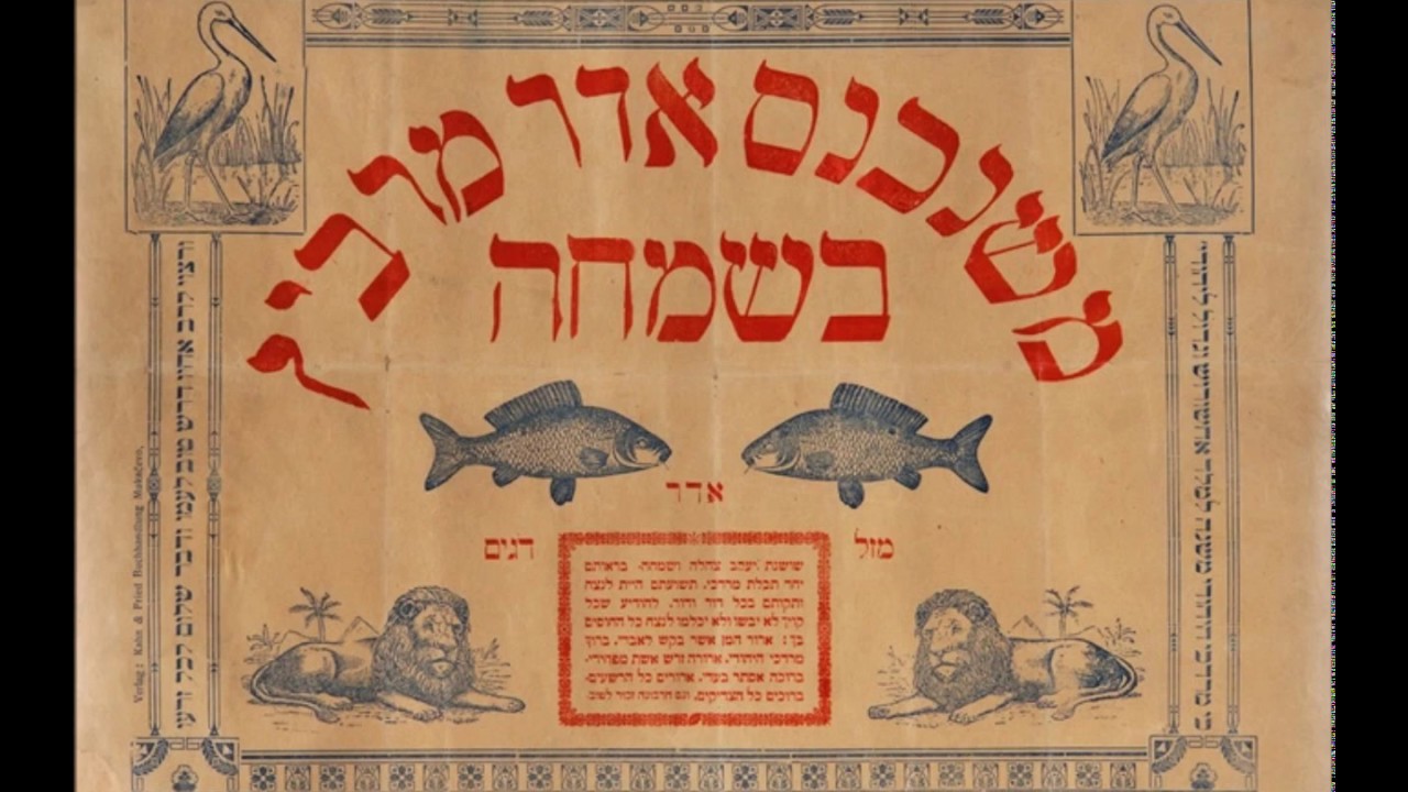 שושנת יעקב מודז'יץ