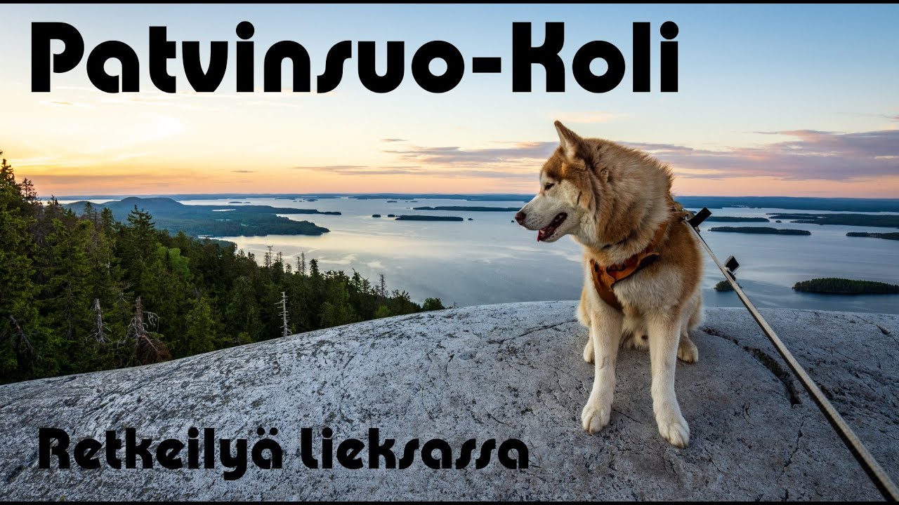 Patvinsuo- Koli. Retkeilyä Lieksassa.