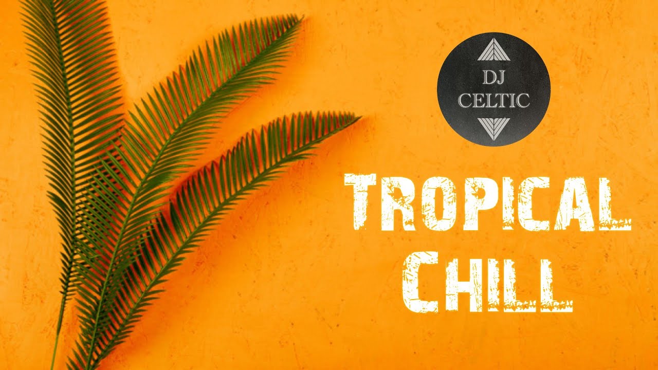 Tropical Chill Summer Mixtape | Reggaeton & Dancehall | DJ Celtic