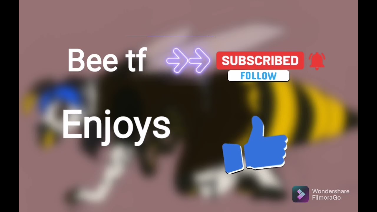 bee tf