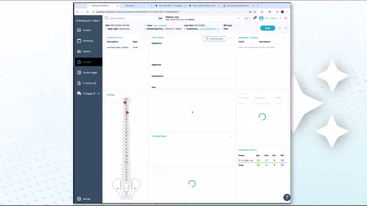 AI That Gets Chiropractic See What's Now Possible with Rheo