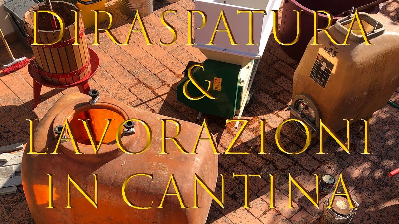 DIRASPATURA dell'Uva - Spostamento del mosto nel Tino & Lavorazioni in Cantina - Fare il vino